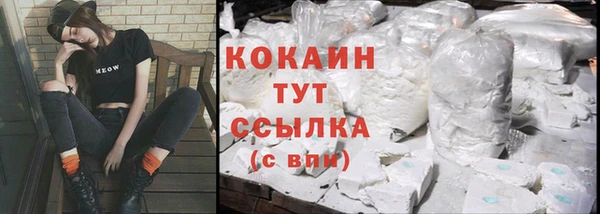дживик Козельск
