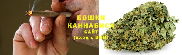 дживик Козельск