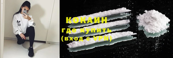 ГАЛЛЮЦИНОГЕННЫЕ ГРИБЫ Данков
