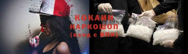 дживик Козельск