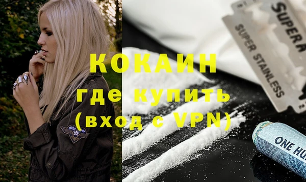 дживик Козельск