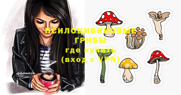 дживик Козельск