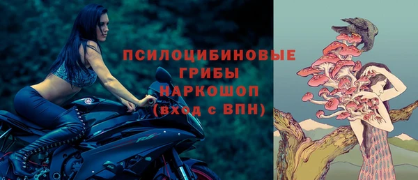 дживик Козельск