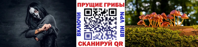 Псилоцибиновые грибы MAGIC MUSHROOMS МЕГА tor Мончегорск